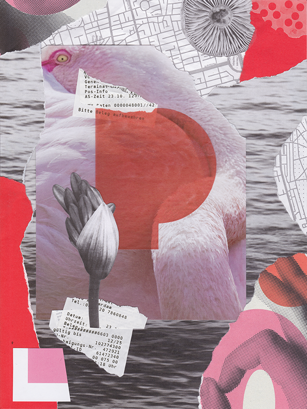 Collage